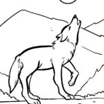 Coloriage Loup