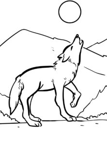 Coloriage Loup