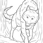 Coloriage Loup