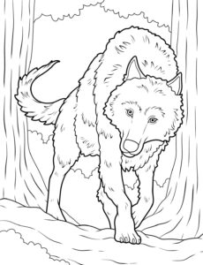 Coloriage Loup