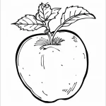 Coloriage Pommes