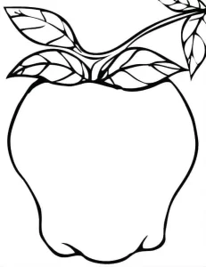 Coloriage Pommes