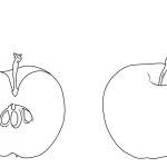 Coloriage Pommes