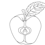 Coloriage Pommes