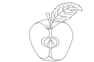 Coloriage Pommes