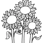 Coloriage Tournesol