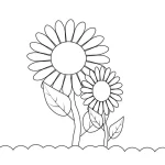 Coloriage Tournesol