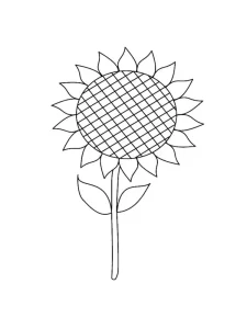 Coloriage Tournesol