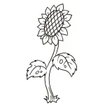 Coloriage Tournesol