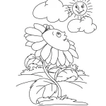 Coloriage Tournesol