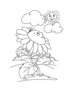 Coloriage Tournesol