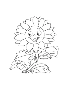 Coloriage Tournesol