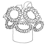Coloriage Tournesol