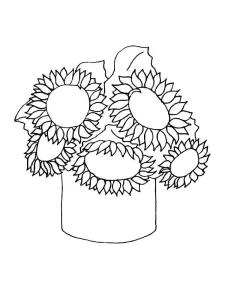 Coloriage Tournesol