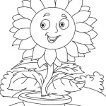 Coloriage Tournesol