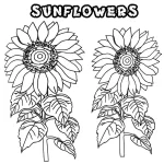 Coloriage Tournesol