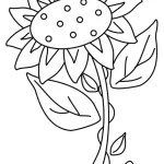 Coloriage Tournesol