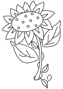 Coloriage Tournesol