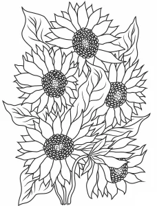 Coloriage Tournesol