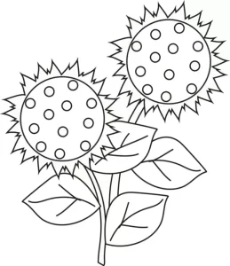Coloriage Tournesol