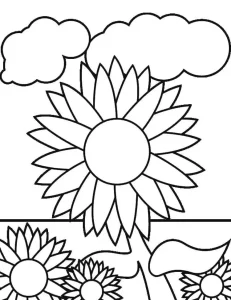 Coloriage Tournesol