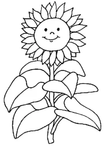 Coloriage Tournesol