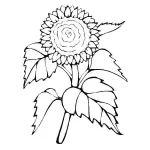 Coloriage Tournesol