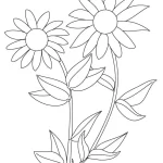 Coloriage Tournesol