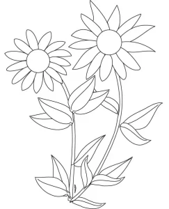 Coloriage Tournesol