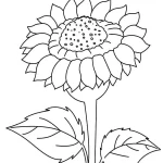 Coloriage Tournesol