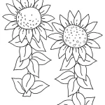 Coloriage Tournesol