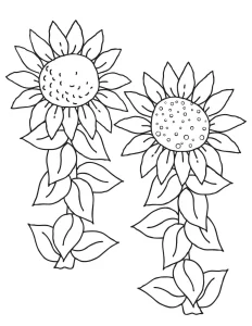 Coloriage Tournesol