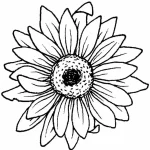 Coloriage Tournesol