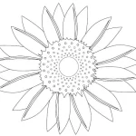Coloriage Tournesol
