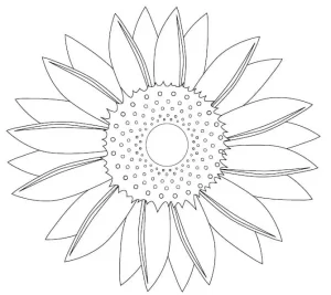 Coloriage Tournesol