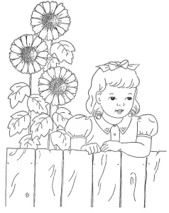 Coloriage Tournesol
