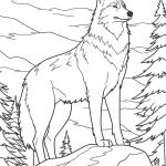 Coloriage Loup