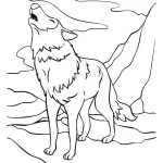 Coloriage Loup