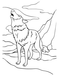 Coloriage Loup