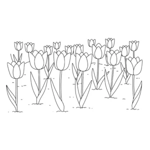 coloriage Champ de tulipes educatif pour enfant