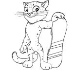 coloriage Leopard pour enfant de 6 ans