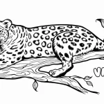 coloriage Leopard pour enfant de 5 ans