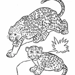 coloriage Leopard a colorier en ligne