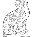 coloriage Leopard d