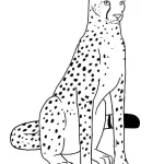 coloriage Leopard educatif pour enfant