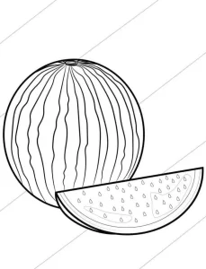 coloriage Pastèque à imprimer pdf