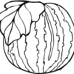 coloriage Pastèque pour enfants a imprimer gratuit