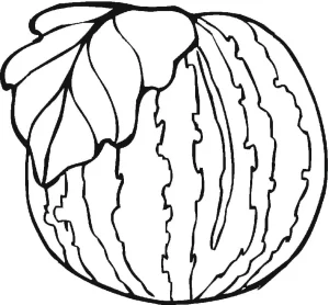 coloriage Pastèque pour enfants a imprimer gratuit