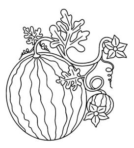 coloriage Pastèque et decoupage