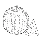 coloriage Pastèque pour enfant de 3 ans